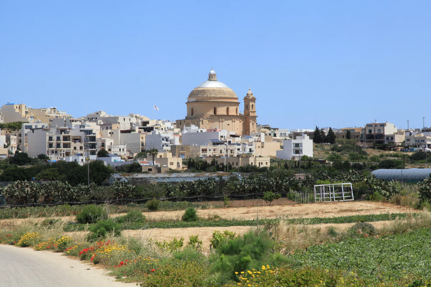 Mġarr village skyline and parish church beyond cultivated fields