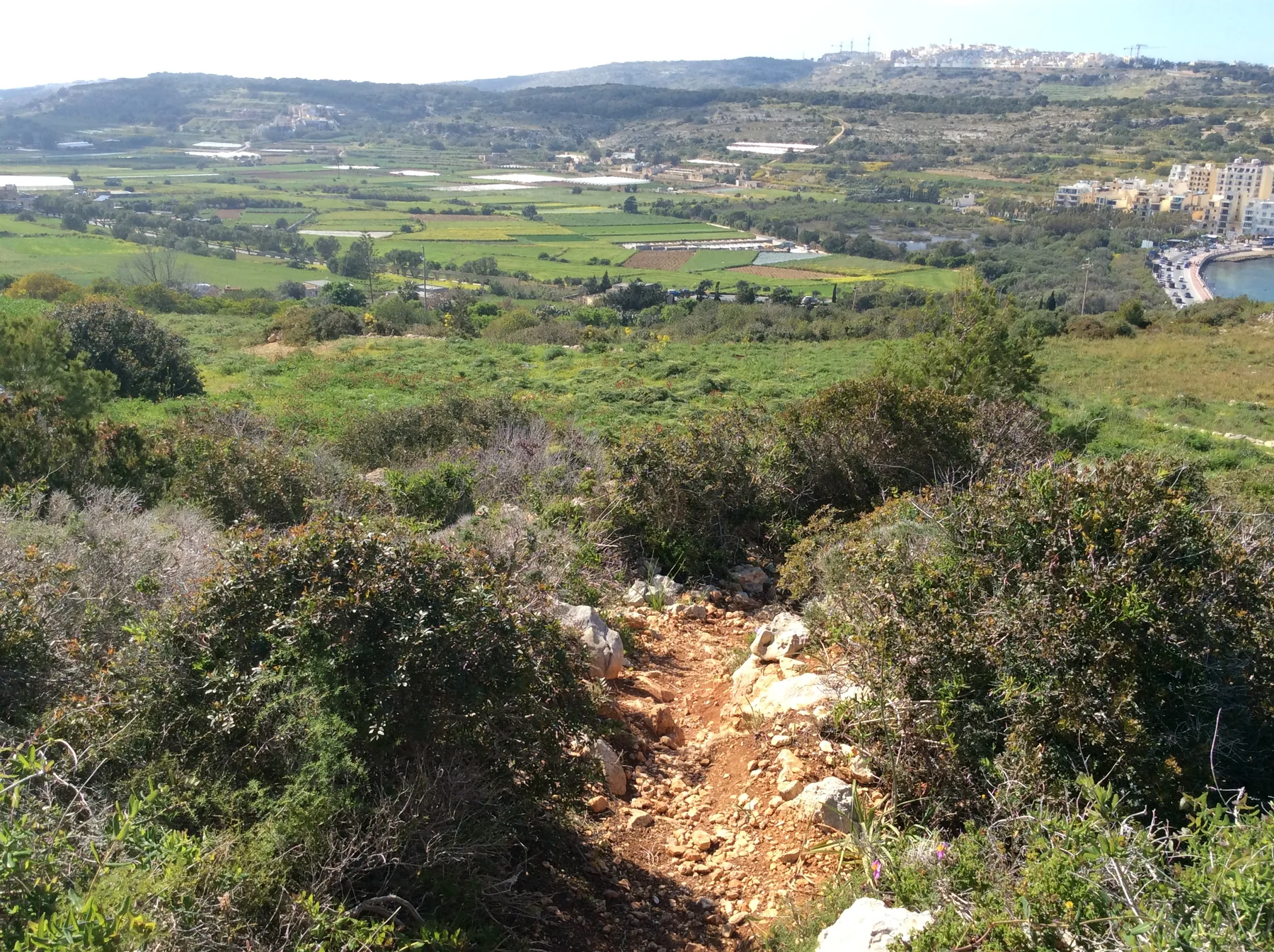Pwales fields, hillside vegetation and the edge of Xemxija Bay